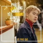 phai chang minh yeu chang dung ngay (single) - do phu qui