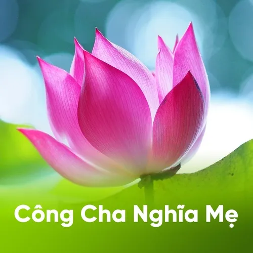 Nhạc Vu Lan - Mùa Báo Hiếu 2018
