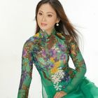 Như Mây Vô Thường