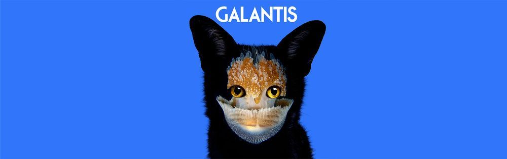 Galantis Nghe Táº£i Album Galantis - 