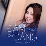 Đắm Trong Cay Đắng