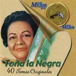 Palmera