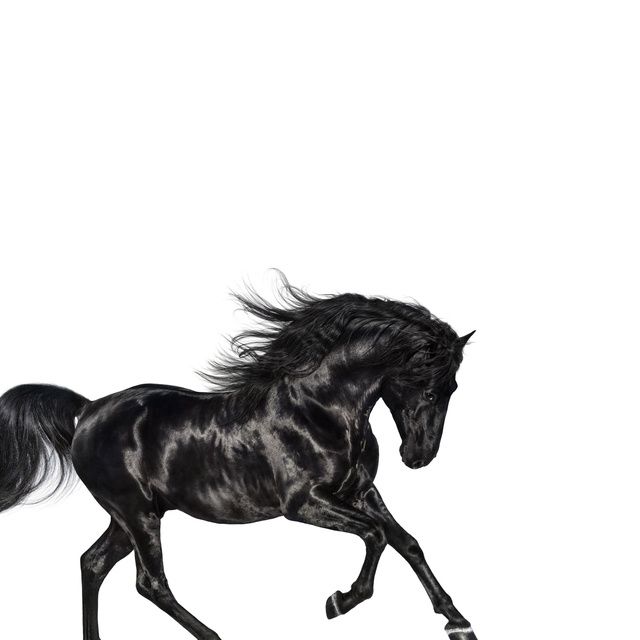 old town road mp3 320 download