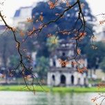 Gửi Người Em Gái Miền Nam