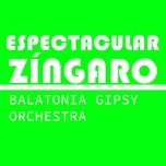Mis Pequeños Gitanos