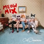 Hear You Now (Meow Mix)