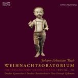Weihnachtsoratorium Iii, Bwv 248: No. 29, Duett (Sopran Und Bass): Herr, Dein Mitleid, Dein Erbarmen