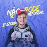 Não Pode Se Apaixonar