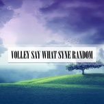 Re Mix (Radio Vrs.)