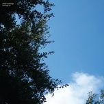 Hey Cool Kid (Acoustic, Live For The Fader)