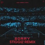 Sorry (StiggiZ Remix)