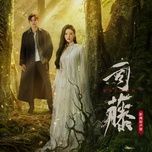 Sao Băng / 星陨 (Tư Đằng Ost)